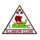 伊利亚堡B队logo