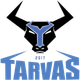 塔瓦斯logo