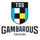 德岛甘巴罗斯logo