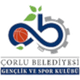 乔尔卢logo