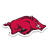 阿肯色大学女篮logo