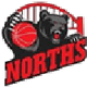 北方熊女篮logo