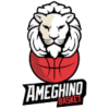 阿梅吉诺logo