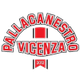 安联维琴察logo