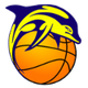 JKL海豚女篮logo