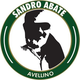 阿维利诺室内足球队logo