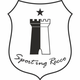 雷科体育logo