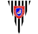 切尔韦尼logo
