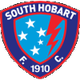 南霍巴特C队logo