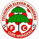 泰奇曼城logo