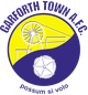 加福斯镇logo