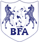 博茨瓦纳logo