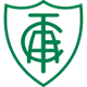 亚美利加女足logo