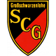 SC格罗斯施瓦岑洛厄logo