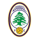丹纳兹女足logo