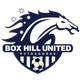 波克海尔女足logo