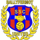 巴拉亚联logo