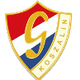 格瓦达科沙林logo