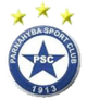 帕纳海柏PI青年队logo