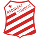 拉德尼基松博尔logo