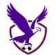 布伦达拉鹰logo