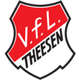 狄森logo