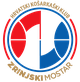 兹林斯基女篮logo