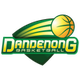 丹德农遊骑兵logo