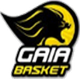 盖亚篮球俱乐部logo