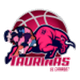 陶里纳斯女篮logo