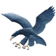 雅典耀蓝鹰logo