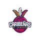 加拉加斯勒比女篮logo