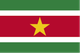 苏里南logo