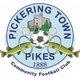 皮克灵镇logo