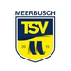 TSV梅尔布施logo