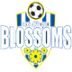 圣安东尼奥布洛松斯女足logo
