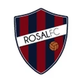 罗萨尔女足logo
