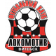 维迪比斯克女足logo
