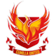 卡米拉联合会女足logo
