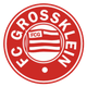 格罗斯克莱恩logo