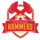 伯明翰哈姆莫斯logo