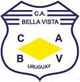 贝亚维斯塔logo