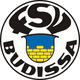 巴迪莎logo