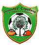 科帕莱拉女足logo