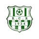 雷利扎内logo
