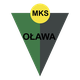 MKS欧拉瓦logo