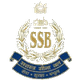 SSB中央WFC女足logo