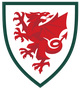 威尔士室内足球队logo