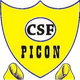 CSF皮孔logo
