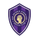 圣安东尼奥雅典女足logo
